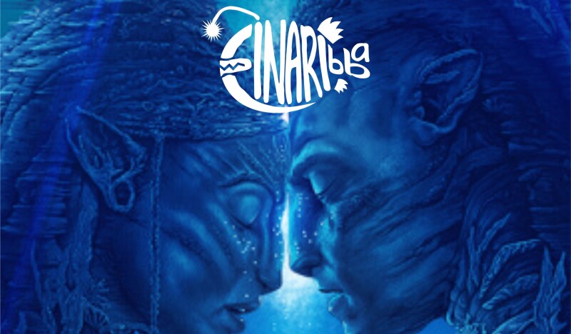 Табір-тренінг Фінарібба!